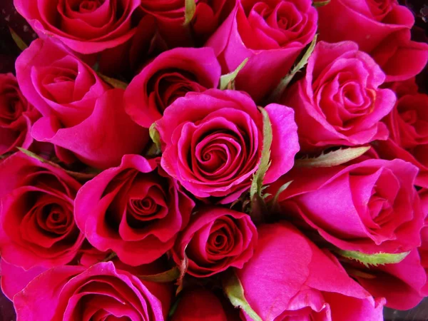 Крупный План Букета Цветущих Роз — стоковое фото