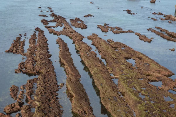 Marée Basse Sur Côte Biarritz Dans Golfe Gascogne France — Photo