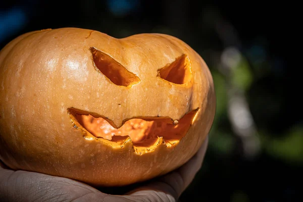 Tiro Foco Raso Uma Abóbora Halloween — Fotografia de Stock