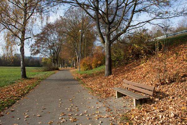 Uma Bela Foto Parque Durante Outono — Fotografia de Stock