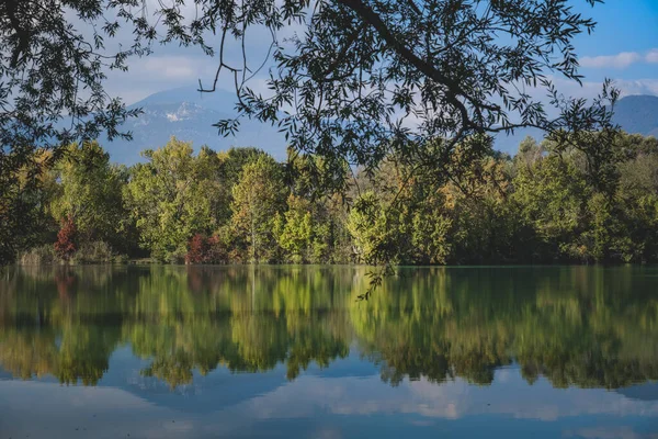Panoramatický Záběr Malebné Přírody Stromy Odrážející Vodě — Stock fotografie