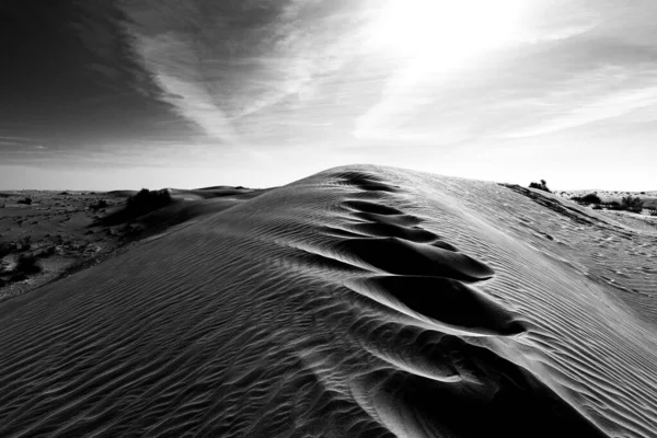 Uno Scatto Scala Grigi Bellissimo Deserto Con Dune Sabbia Dubai — Foto Stock