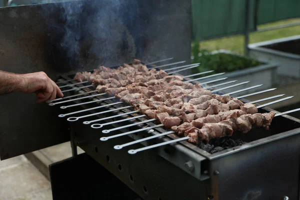 用金属绞架在烤架上的猪肉特写镜头 — 图库照片