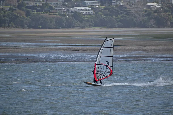 Auckland Neuseeland August 2019 Auckland Neuseeland August 2019 Starker Wind — Stockfoto