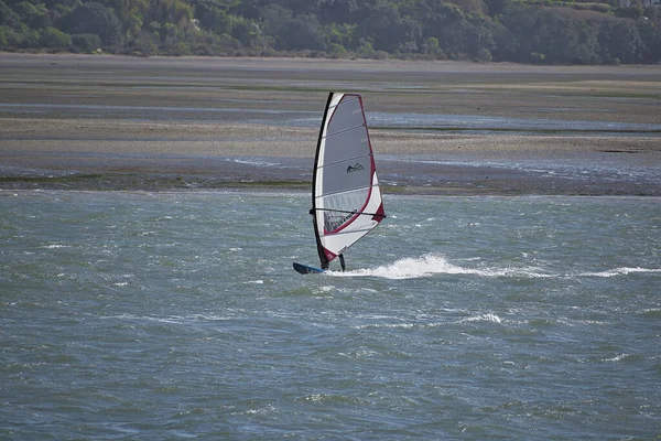 Auckland Nueva Zelanda Agosto 2019 Auckland Nueva Zelanda Agosto 2019 —  Fotos de Stock