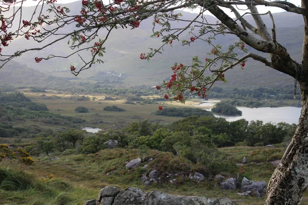 Tepeler Çalılarla Çevrili Küçük Bir Göl — Stok fotoğraf
