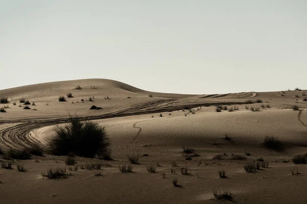 Krásná Pouštní Krajina Dubaji — Stock fotografie
