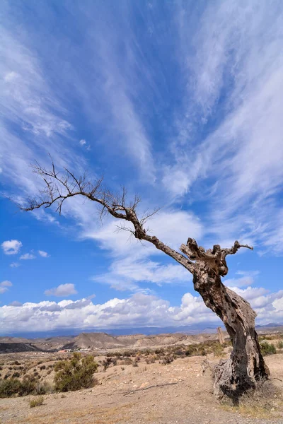 Вертикальний Знімок Пустельних Таберн Провінції Альмерія Іспанія — стокове фото