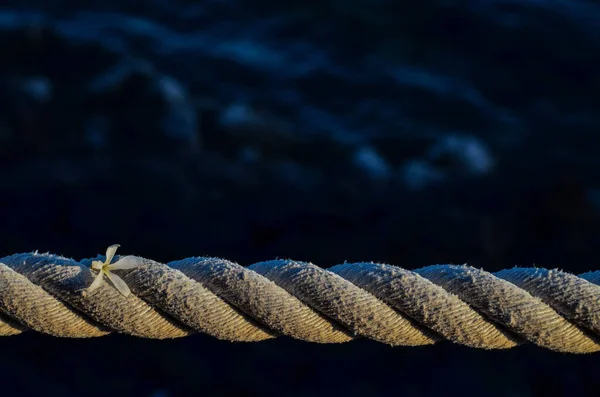 海軍ロープのクローズアップショット — ストック写真