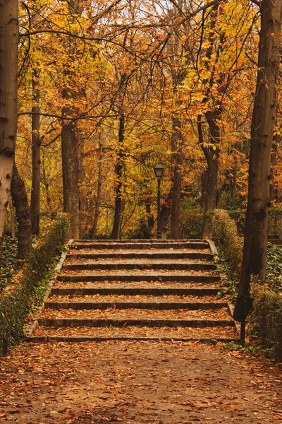Eine Vertikale Aufnahme Einer Treppe Einem Park Goldenen Herbst — Stockfoto