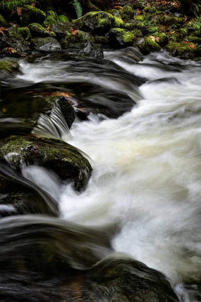 Long Exposure Vertical Shot Creek Flowing Rocks Sooke Vancouver Island — Stock Photo, Image