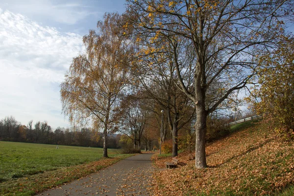 Egy Gyönyörű Kép Egy Parkról Ősszel — Stock Fotó