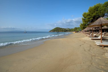 Koukounaries is the most famous beach of Skiathos, rated 7th best in the world, 3rd in Mediterranean and best in Greece. clipart
