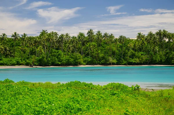 萨摩亚萨瓦伊岛上一片绿意盎然的大海 蓝天下环绕着一片绿茵 — 图库照片