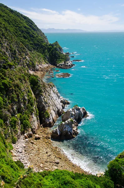 Abel Tasman Track Yeni Zelanda Dan Mavi Denizin Dikey Görüntüsü — Stok fotoğraf