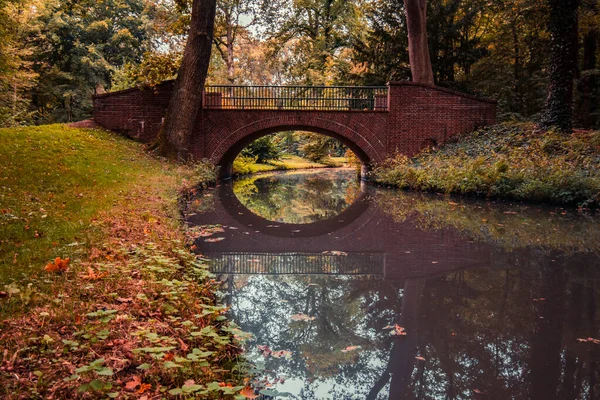 Small Stone Arch Bridge Reflective Pond Water Autumn Fallen Leaves — Fotografia de Stock
