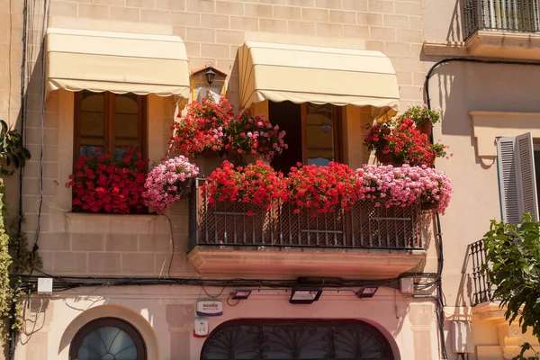 Pink Red Flowers Balcony — Stock Photo, Image