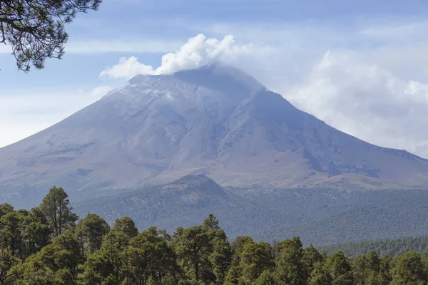 Una Vista Impresionante Del Paisaje Una Zona Boscosa Con Una — Foto de Stock