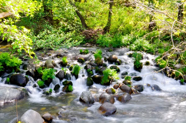 Una Vista Del Agua Cristalina Que Fluye Través Las Rocas —  Fotos de Stock