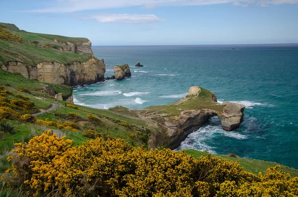 Uma Foto Alto Ângulo Tunnel Beach Dunedin Nova Zelândia — Fotografia de Stock