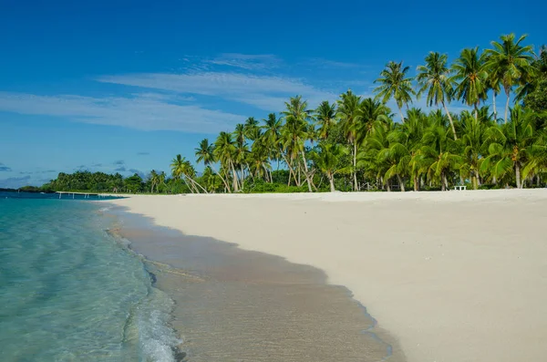 Falealupo Strand Körül Tenger Pálmafák Alatt Napfény Samoa — Stock Fotó