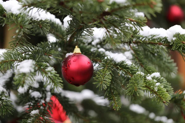 Selective Focus Shot Red Christmas Ball Hanging Christmas Tree — Zdjęcie stockowe