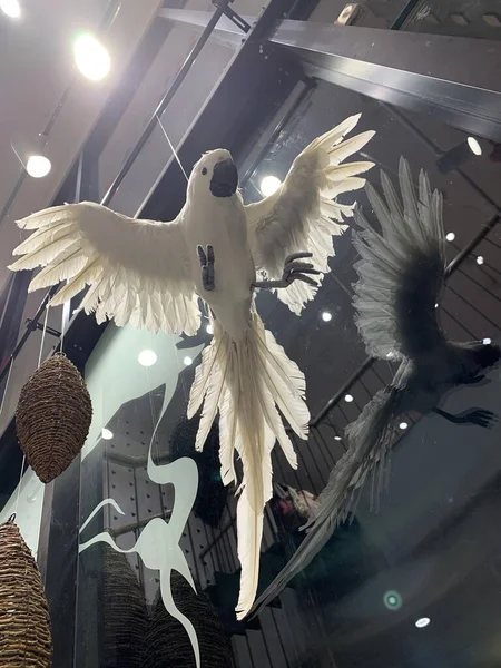 Vertical Shot Decorative White Parrot Figure Hung Ceiling — ストック写真