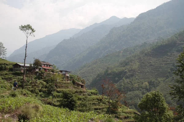 Beautiful Landscape View Forested Mountain Range Old Rural Houses Slope — Stock Photo, Image