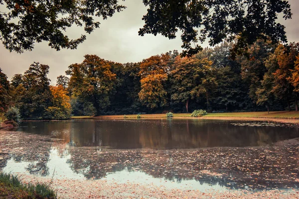 Colorful Lush Autumn Greenery Refective Pond Fallen Foliage Burgerpark Bremen — Fotografia de Stock