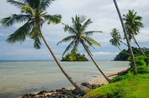 Landscape Sea Surrounded Palm Trees Cloudy Sky Upolu Island Samoa — Zdjęcie stockowe