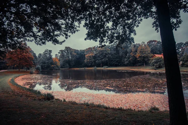 Colorful Lush Autumn Greenery Refective Pond Fallen Foliage Burgerpark Bremen — 图库照片