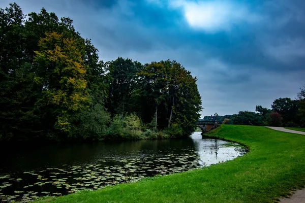 Early Autumn Lush Greenery Refective Pond Lily Pods Burgerpark Bremen — Stok fotoğraf