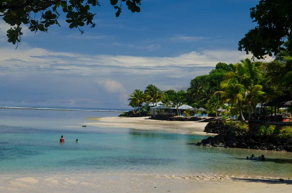 萨摩亚萨瓦伊岛上一个被棕榈树和大海环绕的海滩景观 — 图库照片