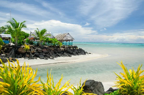 Beach Surrounded Palm Trees Small Cottages Sea Savai Island Samoa — Stock Photo, Image