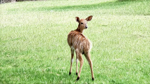 鹿回头看绿色背景的图解 — 图库照片