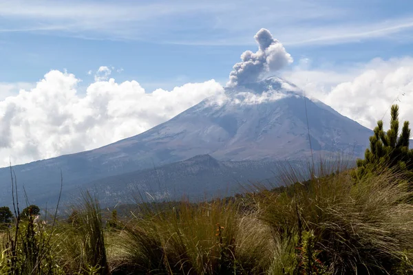 Una Vista Impresionante Del Paisaje Una Zona Boscosa Con Una —  Fotos de Stock