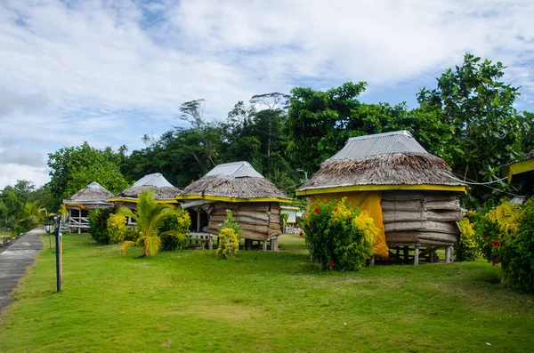 Las Pequeñas Cabañas Rodeadas Vegetación Bajo Cielo Nublado Manase Samoa — Foto de Stock