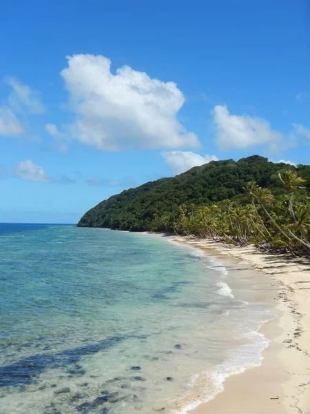 Een Adembenemend Uitzicht Eilanden Van Fiji Met Palmbomen Helder Water — Stockfoto