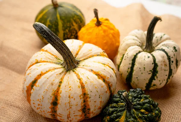 Gros Plan Une Variété Citrouilles Sur Toile Jute Automne Thème — Photo