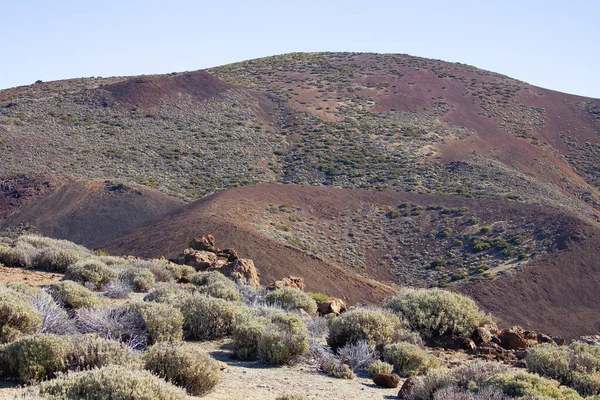 Eine Schöne Aufnahme Von Gras Und Braunen Hügeln Teide Nationalpark — Stockfoto