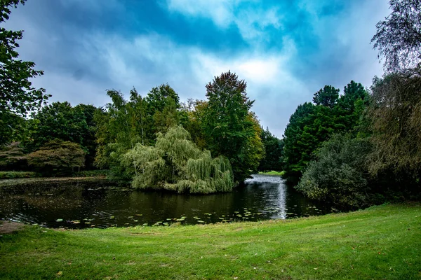 Autumn Lush Greenery Refective Pond Lily Pods Burgerpark Bremen Germany — Zdjęcie stockowe