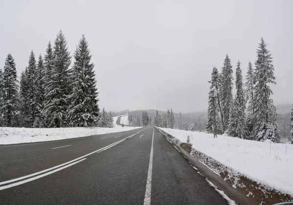 Vacker Bild Väg Ett Snöigt Skogslandskap — Stockfoto