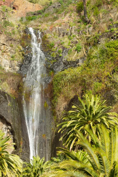 Vertical Shot Waterfall Jungle Tenerife Spain — Stock Photo, Image