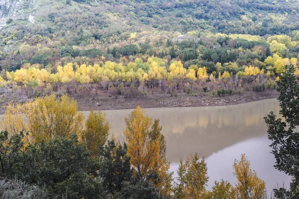 Πολύχρωμο Φθινοπωρινό Φύλλωμα Των Αποτρόπαιων Δασών Γύρω Από Λίμνη Ancipa — Φωτογραφία Αρχείου