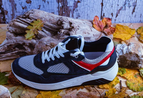 Monterrey Mexique Mar 2021 Chaussures Nike Air Max Pre Day Photo editoriale par Wirestock 463322348