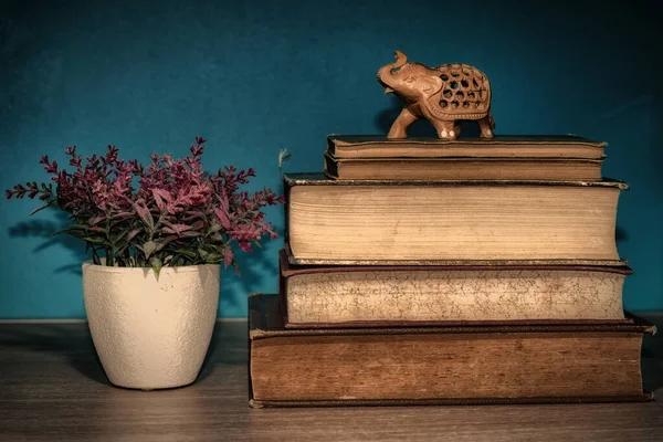Tidy Stack Old Books Potted Plant Wooden Shelf — Stock Photo, Image