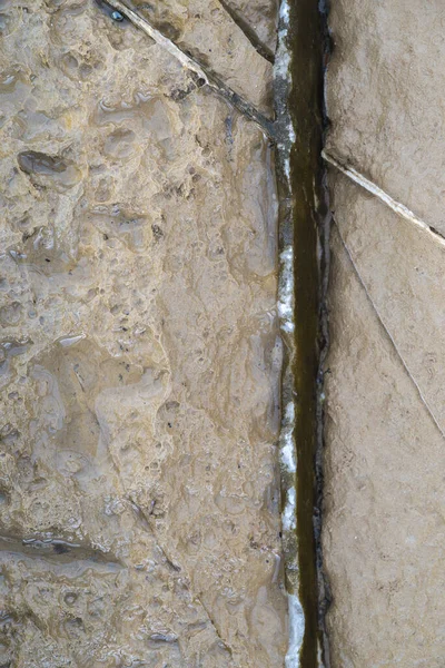 Vertical Shot Natural Rock Texture — Stock Photo, Image