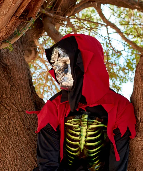 Vertikal Närbild Person Klädd Halloween Kostym Sitter Ett Träd — Stockfoto