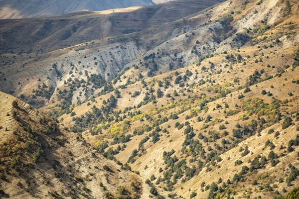 Uma Paisagem Hipnotizante Colinas Arborizadas Syunik Armênia — Fotografia de Stock