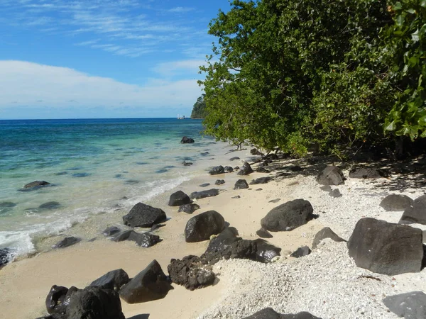 Hisnande Utsikt Över Öarna Fiji Med Palmer Och Klart Vatten — Stockfoto